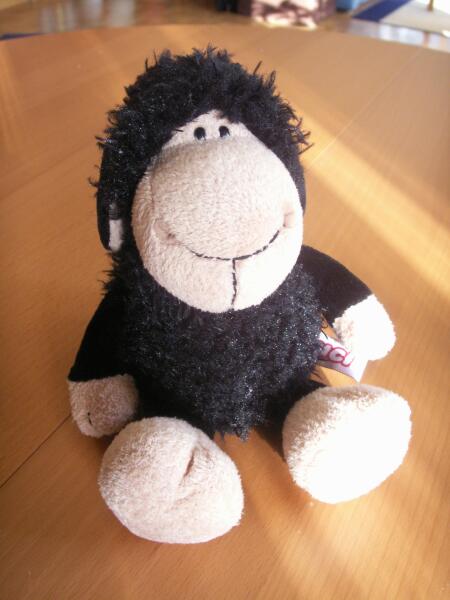 Schwarzes Schaf